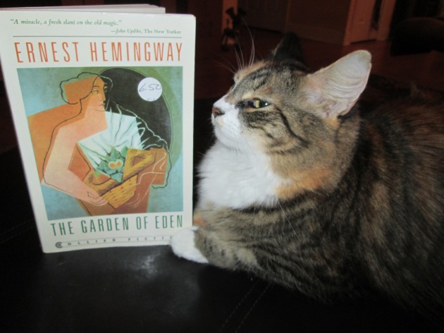 Callie ponders the simple beauty of one of Hemingways last works